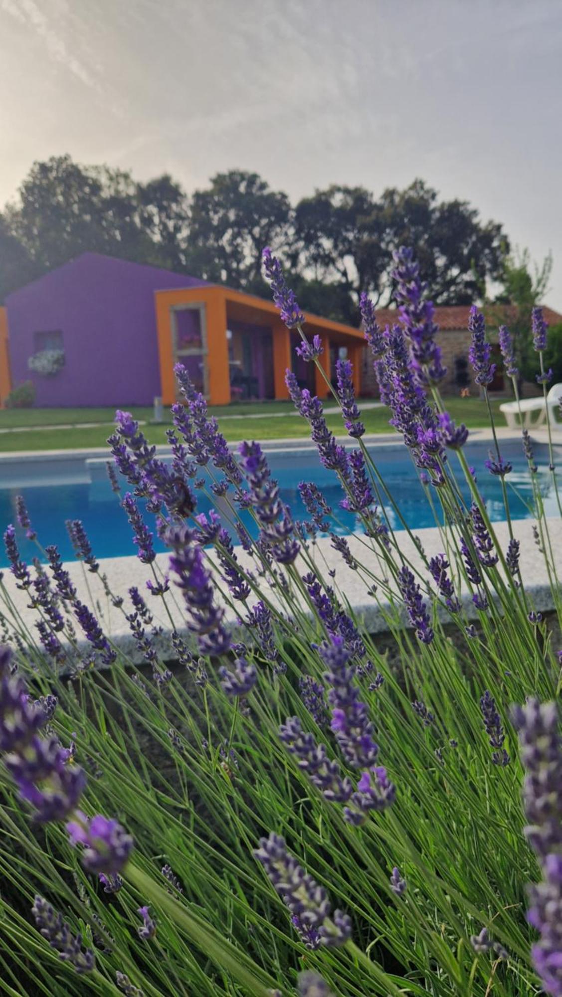 Limbara Dreaming Hotel Темпио Паузания Екстериор снимка