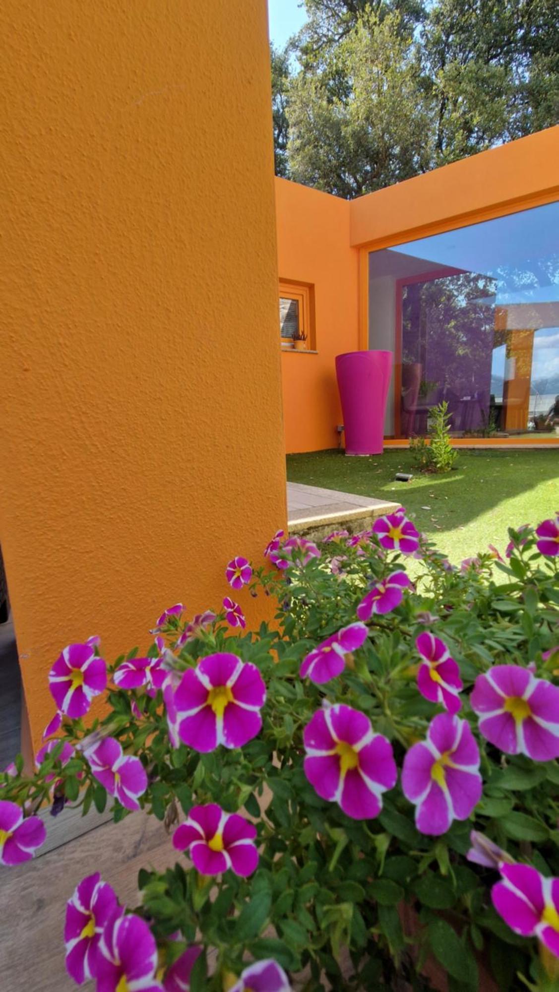 Limbara Dreaming Hotel Темпио Паузания Екстериор снимка