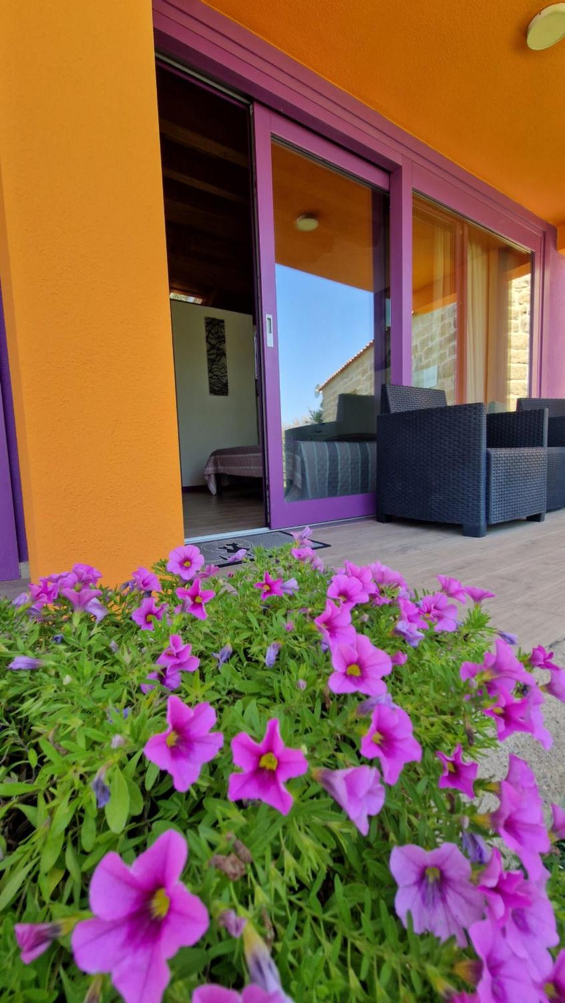 Limbara Dreaming Hotel Темпио Паузания Екстериор снимка