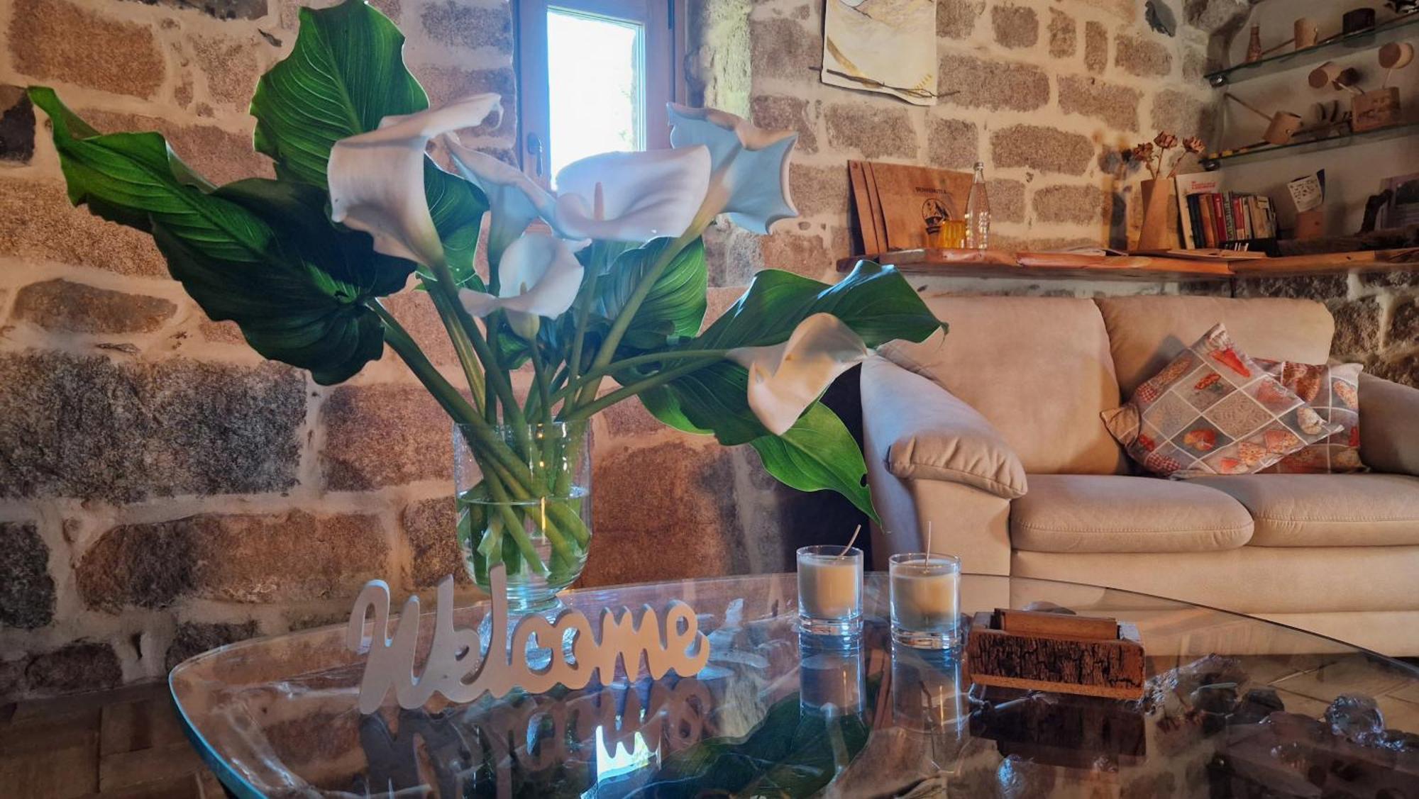 Limbara Dreaming Hotel Темпио Паузания Екстериор снимка